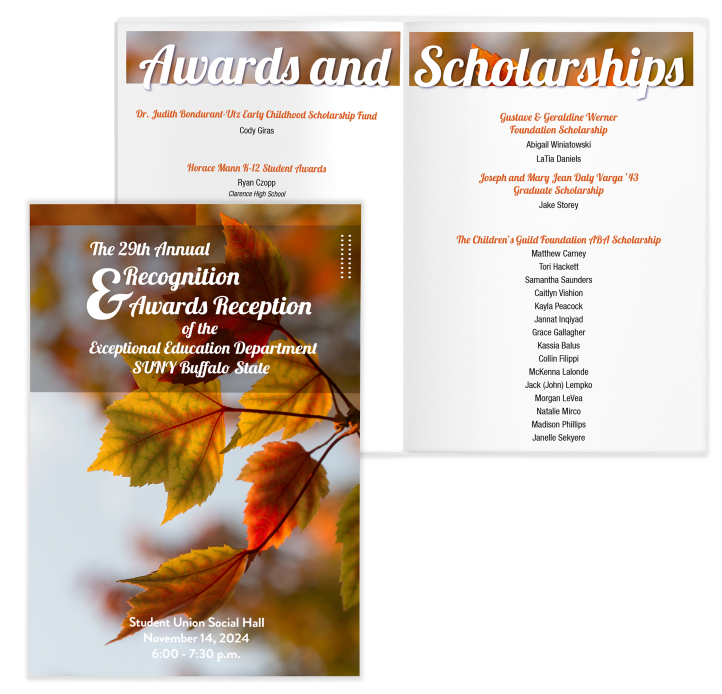 mock-up of a program