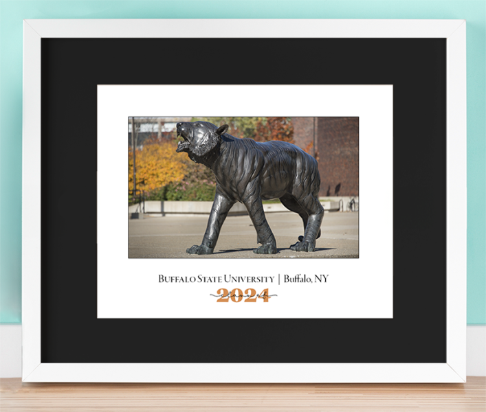 Buffalo State Bengal Photo in a White Horizontal Frame with black border