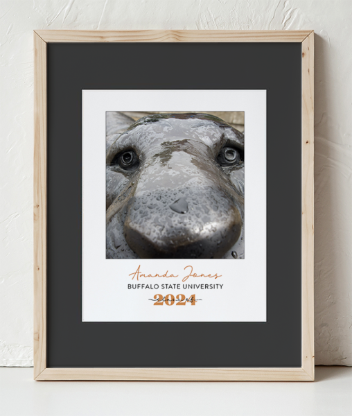 Buffalo State Bengal Close up Photo in a Wooden Frame with black border