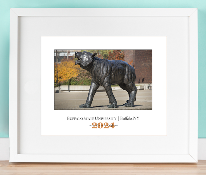 Buffalo State Bengal Photo in a White Horizontal Frame with white border