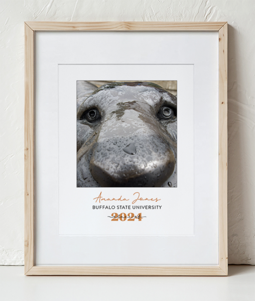 Buffalo State Bengal Close up Photo in a Wooden Frame with white border